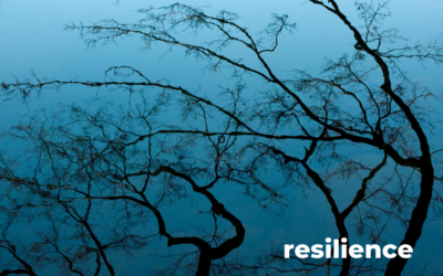 Resilience 4: "Propheting" from the Long View
