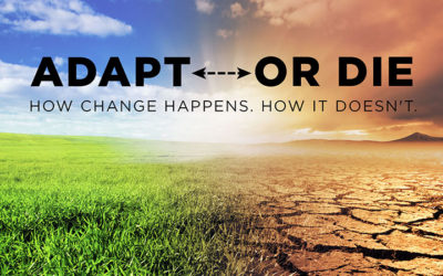 Change Your Environment…  IT Changes You!