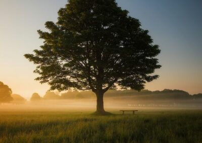 9/30 – On-Campus Contemplative Retreat