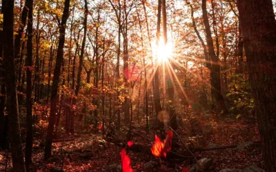 When the Veil Grows Thin