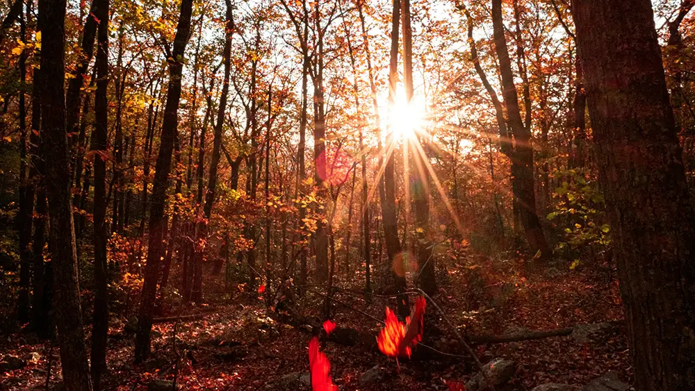 When the Veil Grows Thin