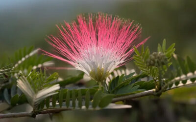 The God on the Inside