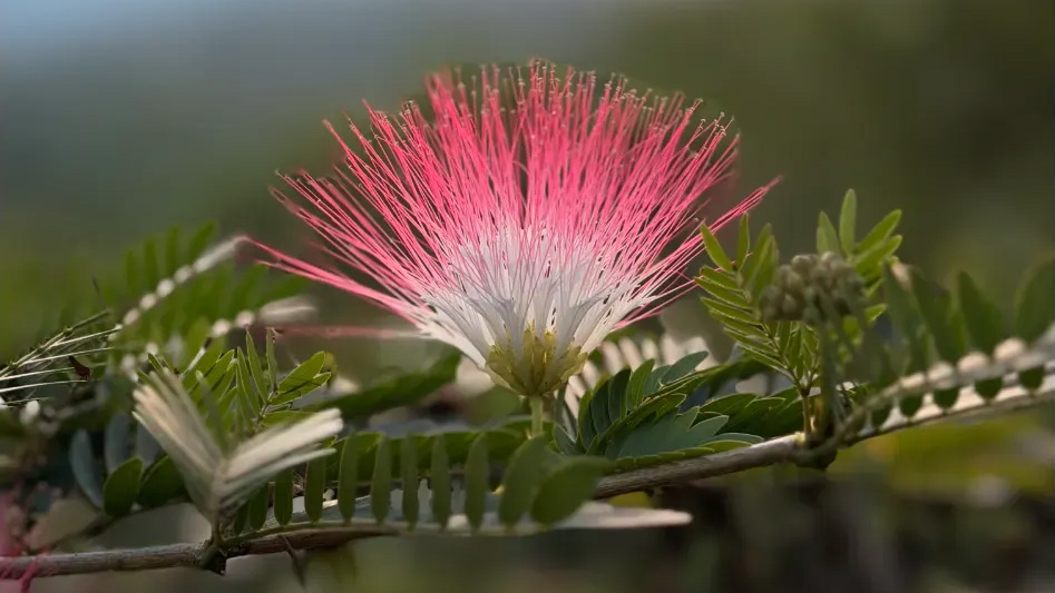 The God on the Inside