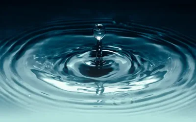 This Doesn’t Happen By Accident