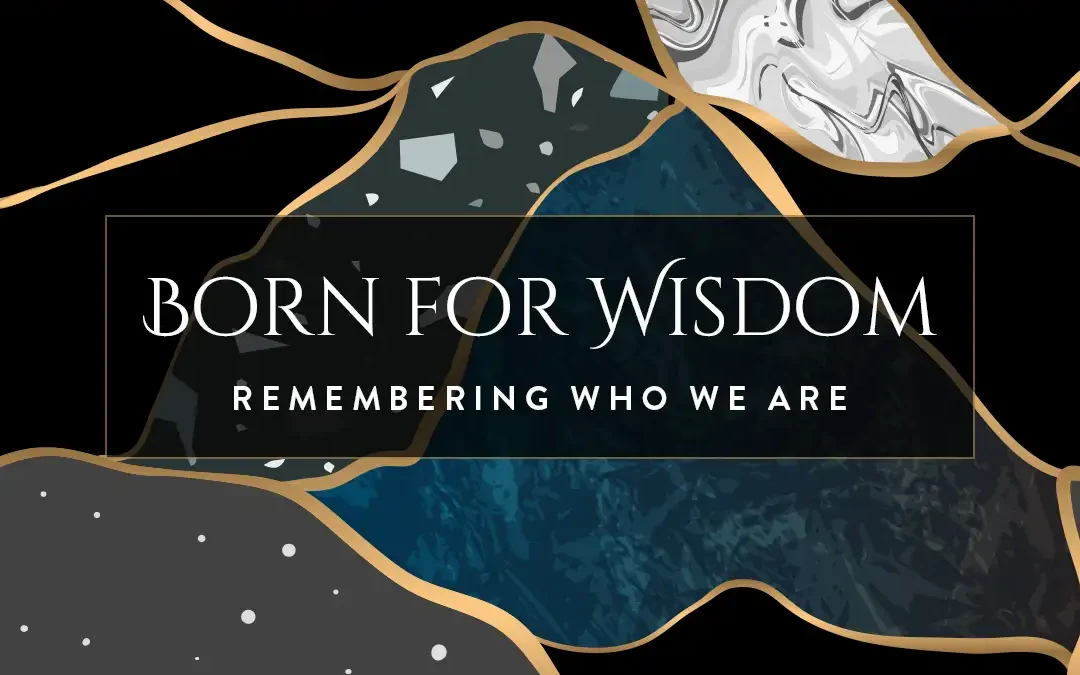 Born for Wisdom Web